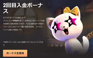 ナショナルカジノのウェルカムボーナス２