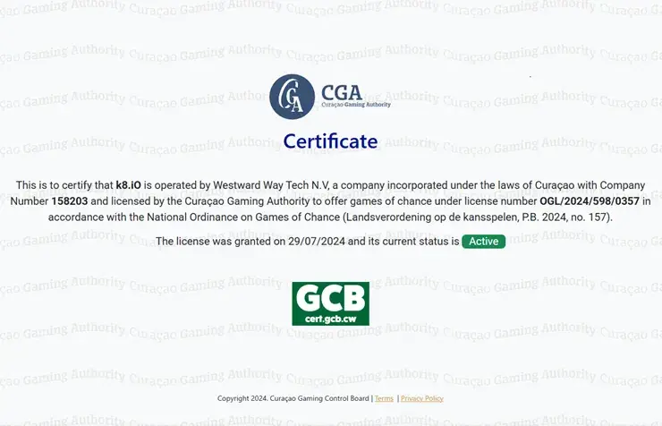 K８　ライセンス