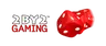 2BY2 GAMING