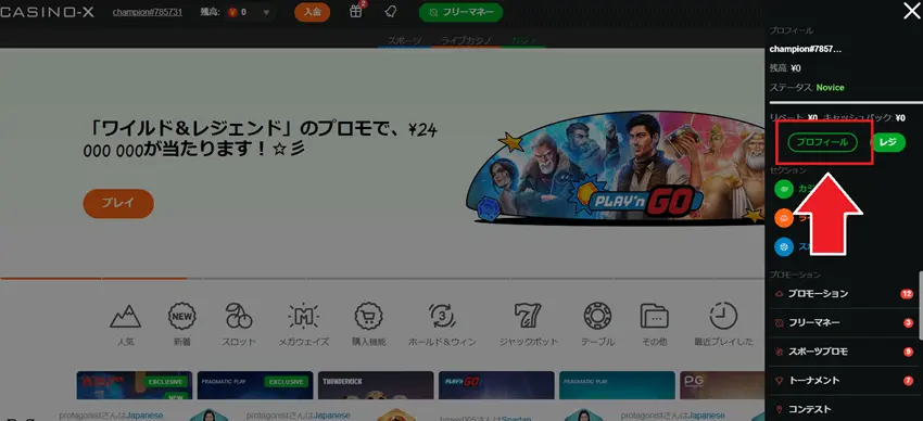 カジノX　プロフィール